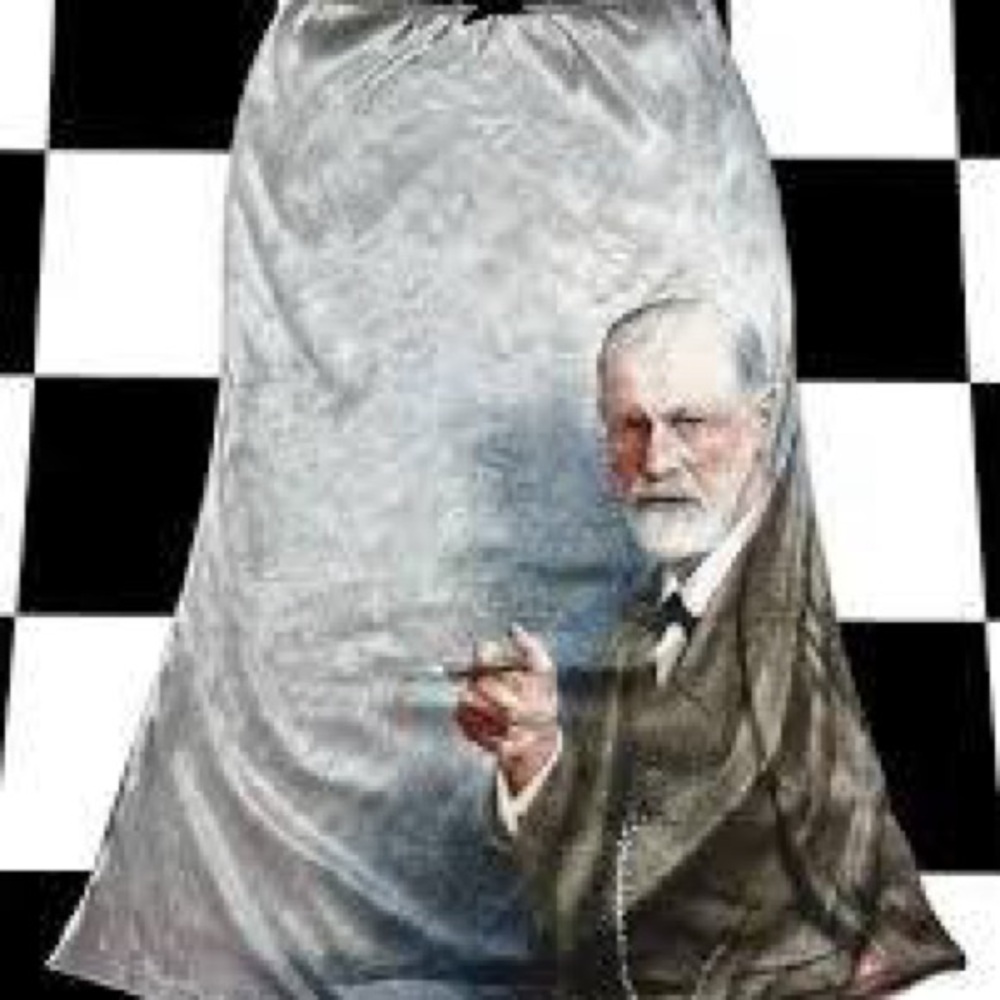 ISO OMIGHY FREUD SKIRT ***DO NOT BUY***